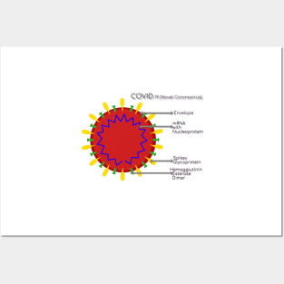 Structure of COVID 19 Novel Coronavirus, SARS COVID 2 with labels Posters and Art